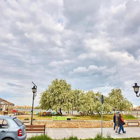 Iris By Alz Năvodari