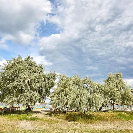 아파트 Iris By Alz *