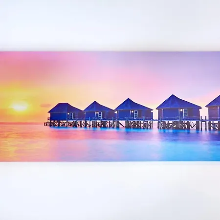 Iris By Alz Năvodari