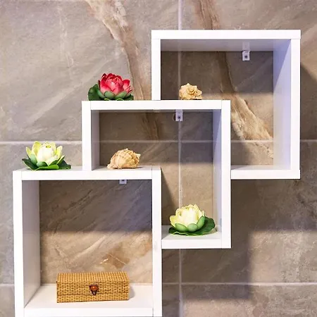 Iris By Alz Năvodari