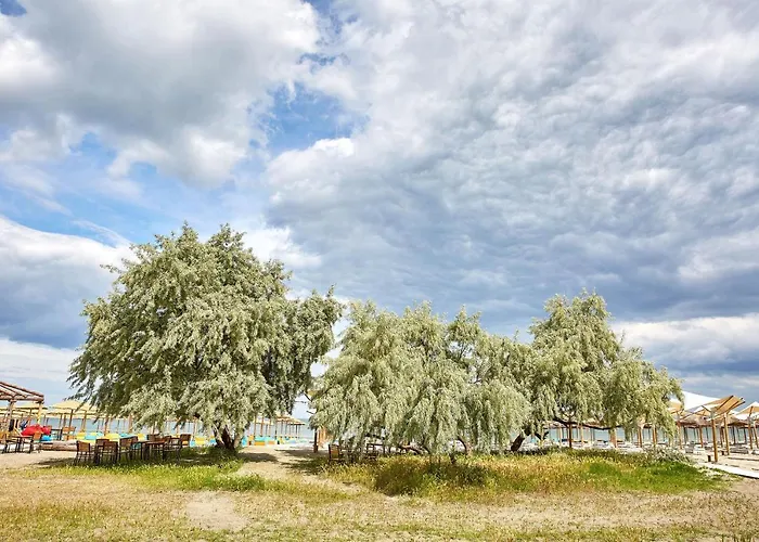 Apartament Iris By Alz *